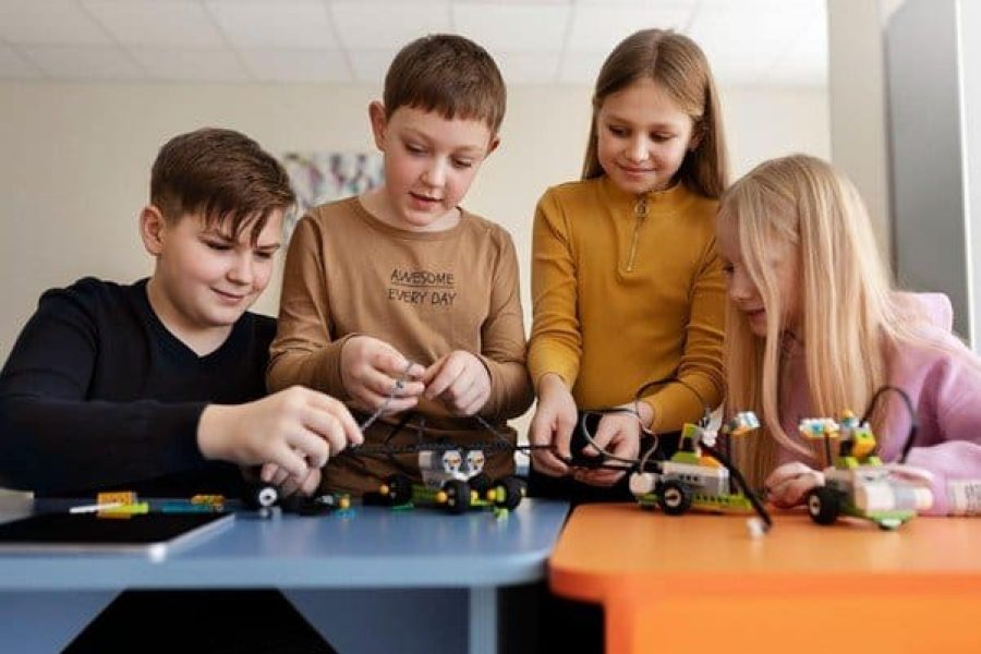 PIEX Education Programs